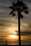 Sunset, Santa Monica Beach-Natalie Tepper-Photographic Print