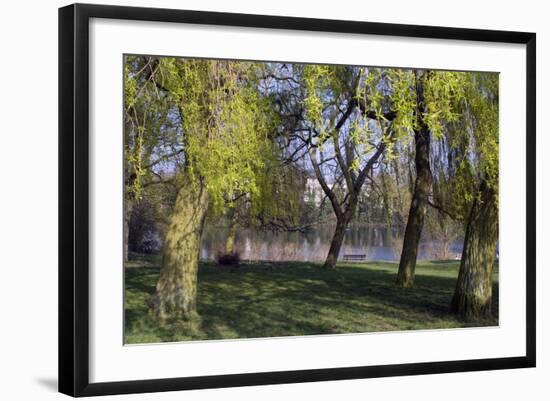 Photo, , large