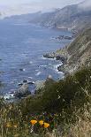 View of Big Sur coastline in California, USA-Natalie Tepper-Photo