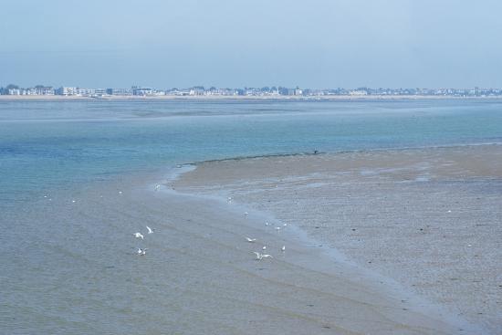 Photo, , large