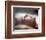 Natalie Wood-null-Framed Photo