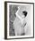 Natalie Wood-null-Framed Photo