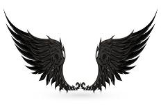Wings Black Old-Style Vector-Nataliia Natykach-Framed Art Print