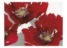 Red Poppy Forrest II-Natasha Barnes-Art Print