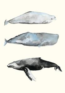 Whale Grouping 1 by Natasha Marie