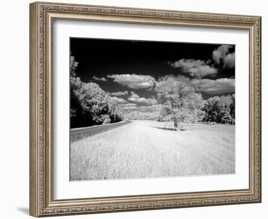 Natchez Trace Parkway, Mississippi-Carol Highsmith-Framed Photo