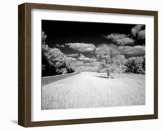 Natchez Trace Parkway, Mississippi-Carol Highsmith-Framed Photo