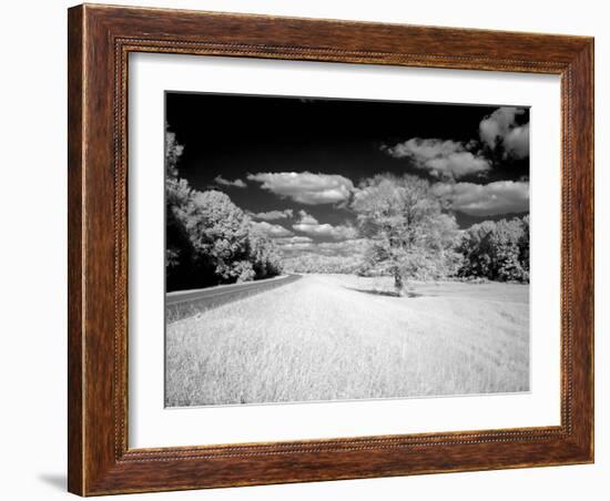 Natchez Trace Parkway, Mississippi-Carol Highsmith-Framed Photo