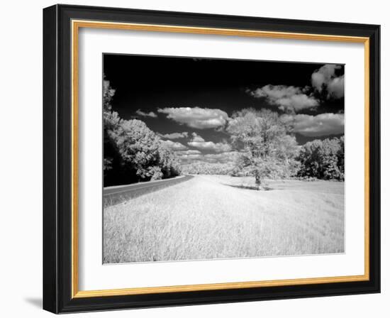 Natchez Trace Parkway, Mississippi-Carol Highsmith-Framed Photo