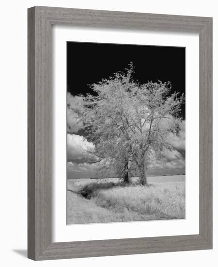 Natchez Trace Parkway, Mississippi-Carol Highsmith-Framed Photo