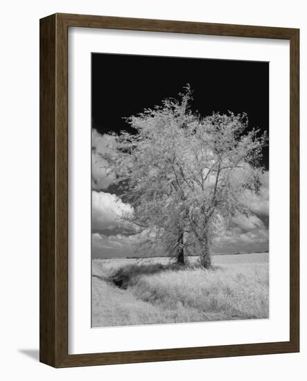 Natchez Trace Parkway, Mississippi-Carol Highsmith-Framed Photo