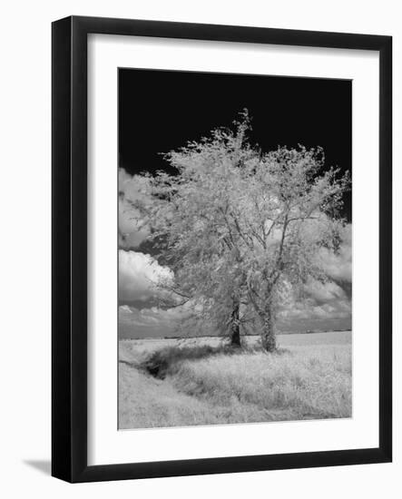 Natchez Trace Parkway, Mississippi-Carol Highsmith-Framed Photo