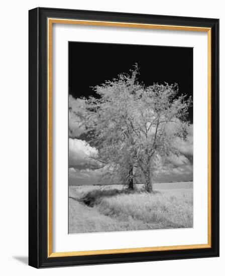 Natchez Trace Parkway, Mississippi-Carol Highsmith-Framed Photo