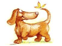 Dachshund and Butterfly-Nate Owens-Giclee Print