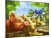 Giclee Print
