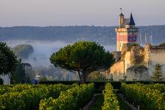 Castle of Chinon Among the Vineyards, Chinon, Indre Et Loire, Centre, France-Nathalie Cuvelier-Photographic Print