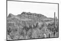 Photographic Print