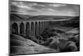 Photographic Print