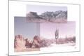 Photographic Print