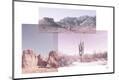 Photographic Print