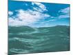 Photographic Print