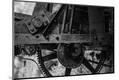 Premium Photographic Print