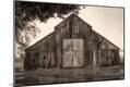 Photographic Print