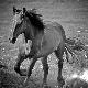 Premium Photographic Print