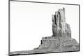 Photographic Print