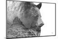 Premium Photographic Print