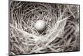Premium Photographic Print