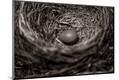 Premium Photographic Print