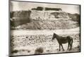 Photographic Print