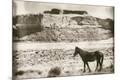 Photographic Print