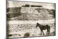 Photographic Print