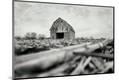 Premium Photographic Print