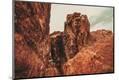 Photographic Print