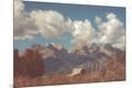 Photographic Print