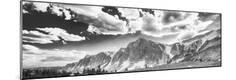Photographic Print