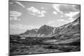 Photographic Print