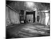 Premium Photographic Print