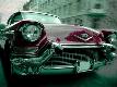 Premium Photographic Print
