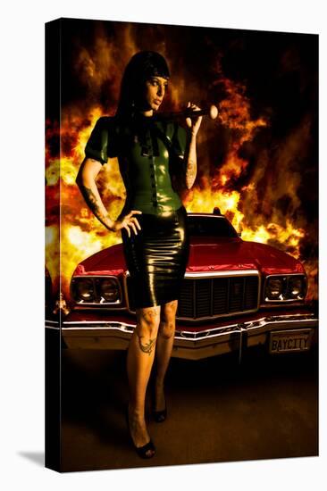 Stretched Canvas Print, , large