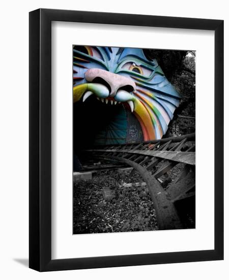 Photographic Print, , large