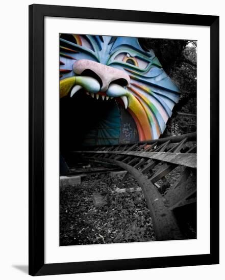 Photographic Print, , large