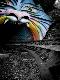 Premium Photographic Print
