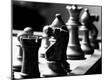 Premium Photographic Print