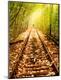 Premium Photographic Print