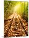 Premium Photographic Print