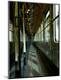 Premium Photographic Print